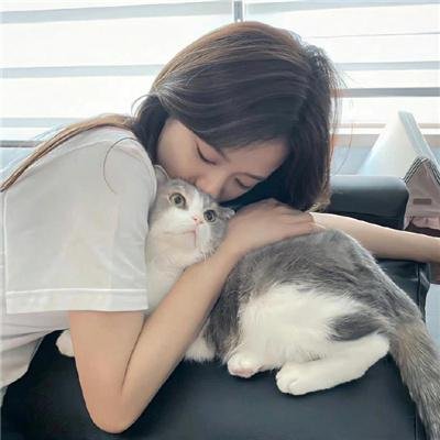 太太的保镳